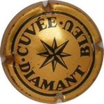 Capsule CUVEE DIAMANT BLEU HEIDSIECK-MONOPOLE 255