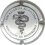 Capsule UN AZIENDA AGRICOLA VISCONTI DI MODRONE TIZZANO 1141